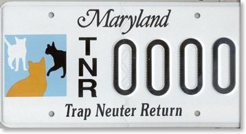 tnrplate2